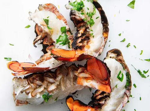 Grilled split lobster tail